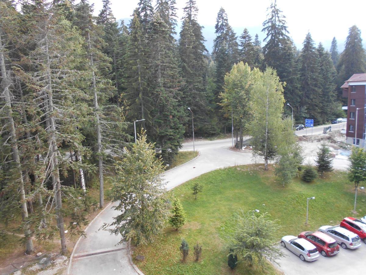 Valentina'S Studio In "Borovets Gardens" Hotel Dış mekan fotoğraf